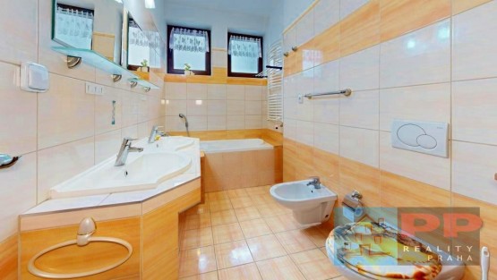 Rd-Radonice-Plachuta-Bathroom.jpg