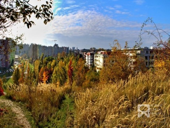 Centrální park 1