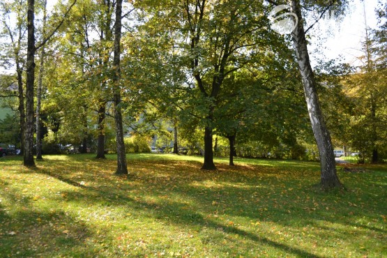 park před domem