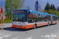 BUS_3K