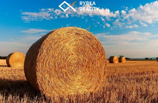 straw-bales-stubble-agriculture-summer.jpg